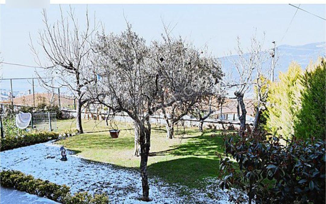 Satılık Umurbey Celal Bayar Evi - Görsel 6