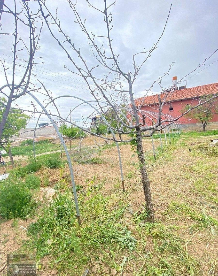 Saraçoğlu Müstakil Daire 900 Metre Arsa İçinde - Görsel 21