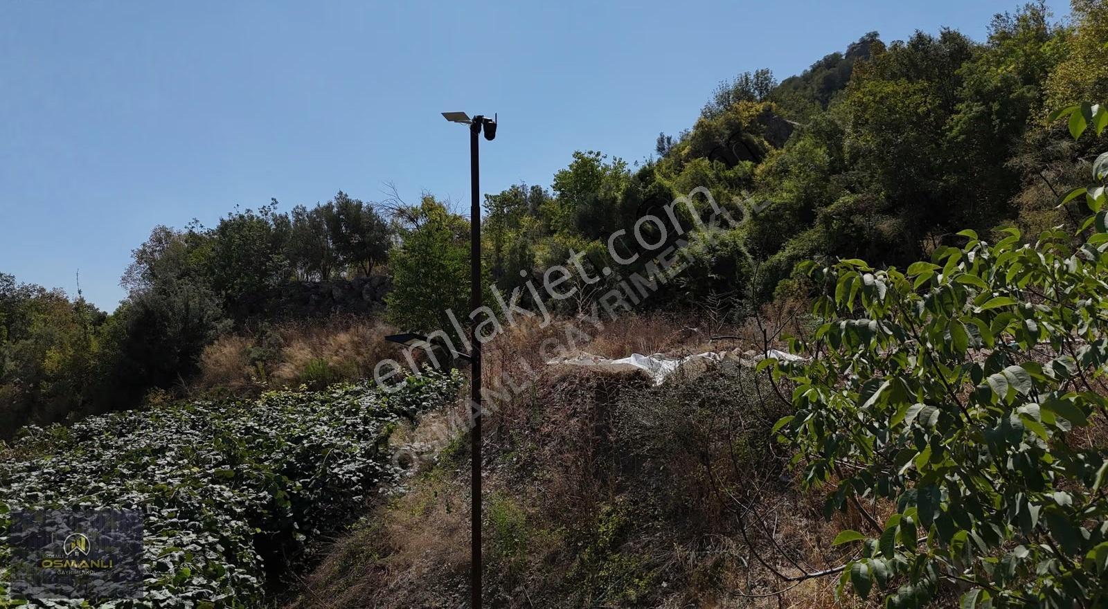 Erdemli Aslanlı 817 M2 4 Parsel Ayrı Satılık Arsa Kivi Bahçesi - Görsel 7