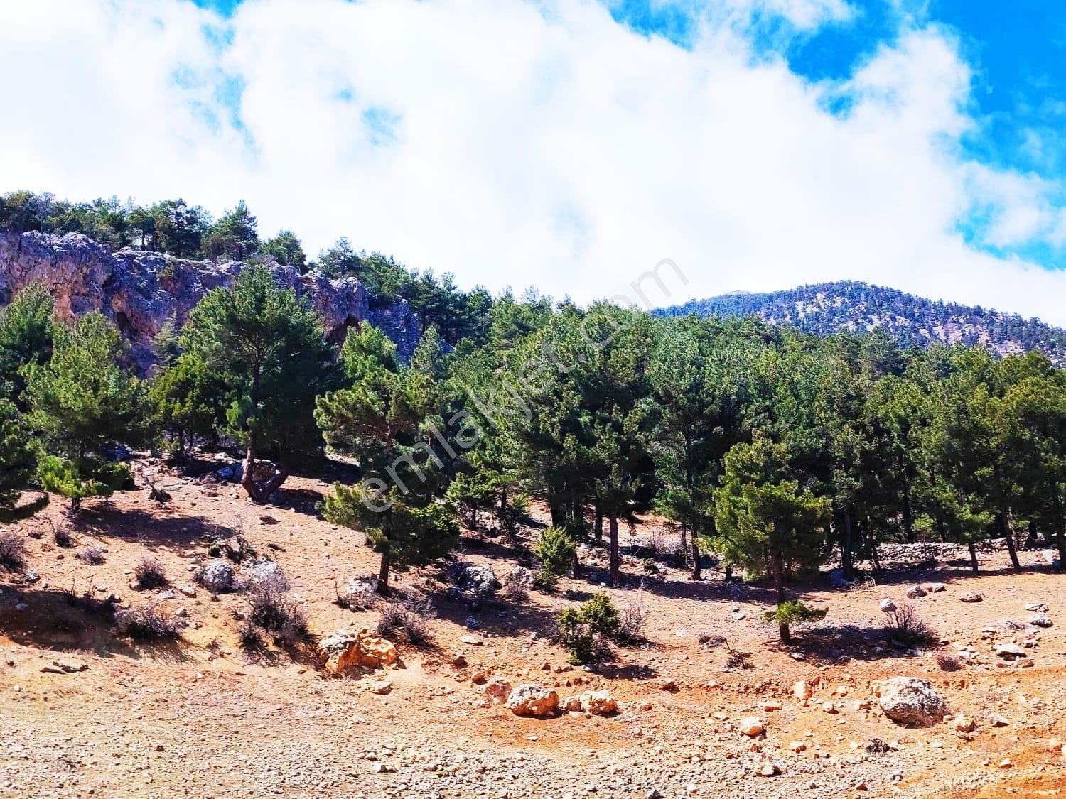 Kar Emlaktan Yenikonacık Bozkırlı Mevkiinde 430 M2 Satılık Arsa - Görsel 12