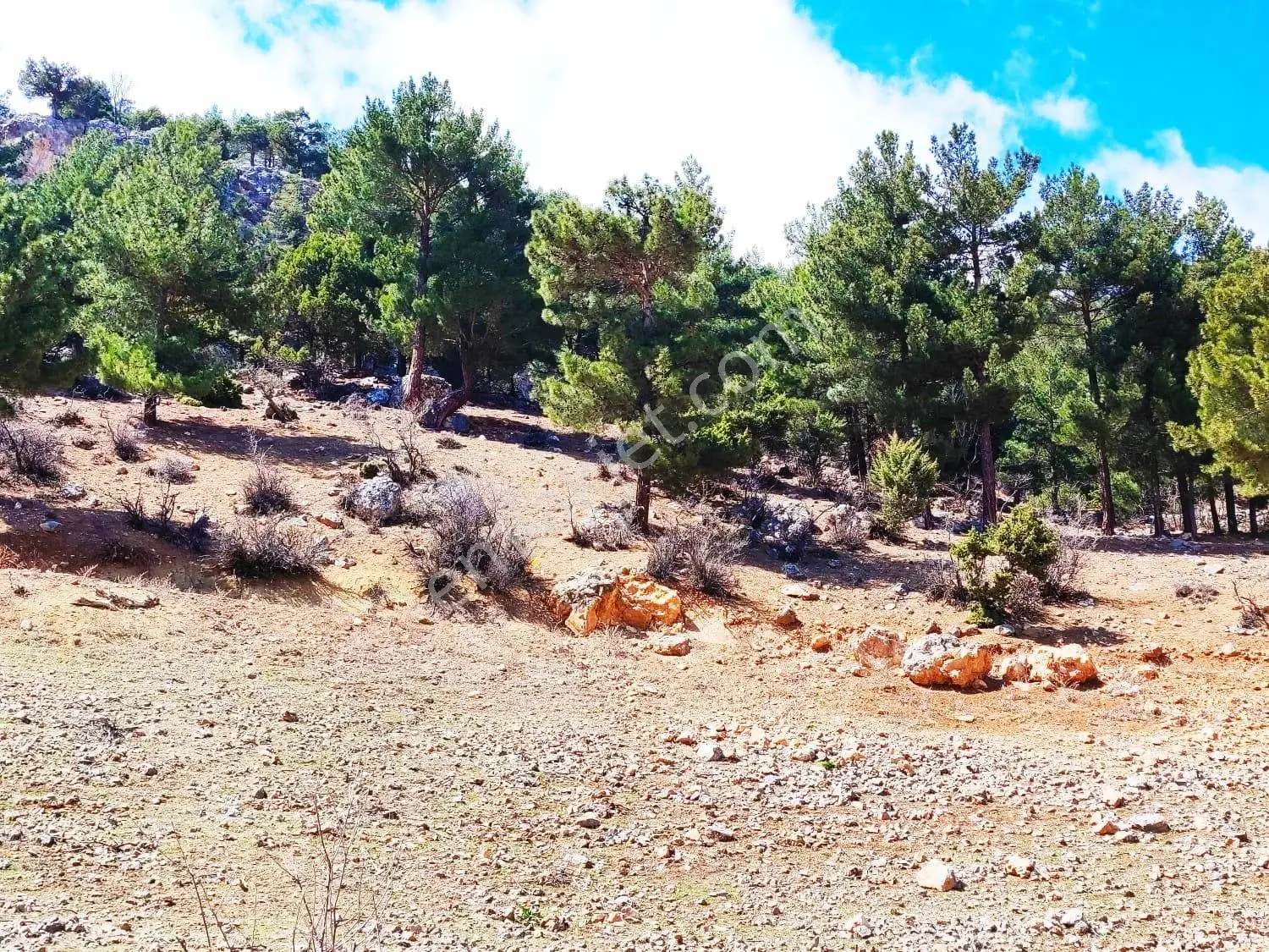 Kar Emlaktan Yenikonacık Bozkırlı Mevkiinde 430 M2 Satılık Arsa - Görsel 3