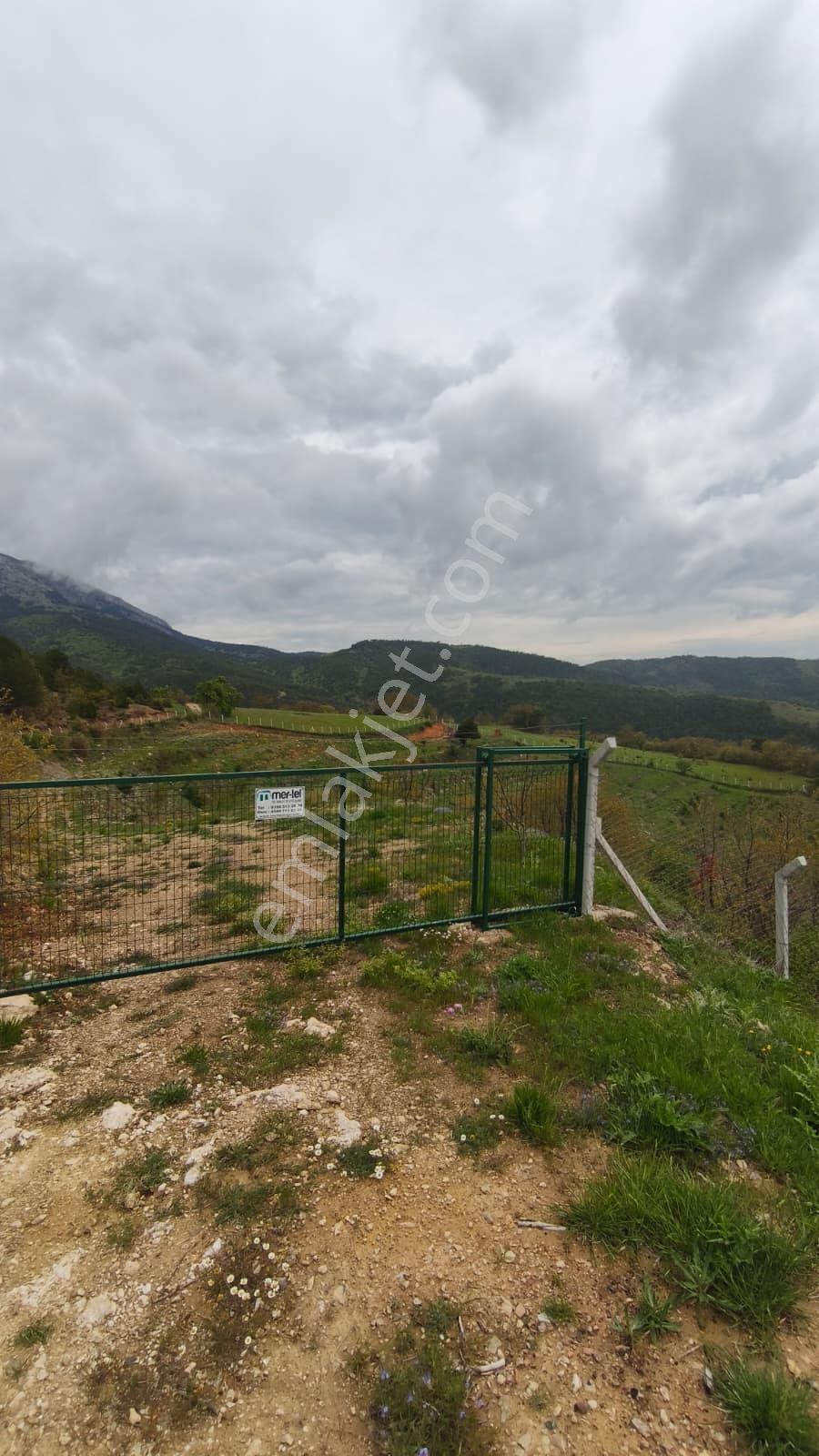 Mabelden Doğayla İç İçe Satılık Ceviz Bahçesi - Görsel 6