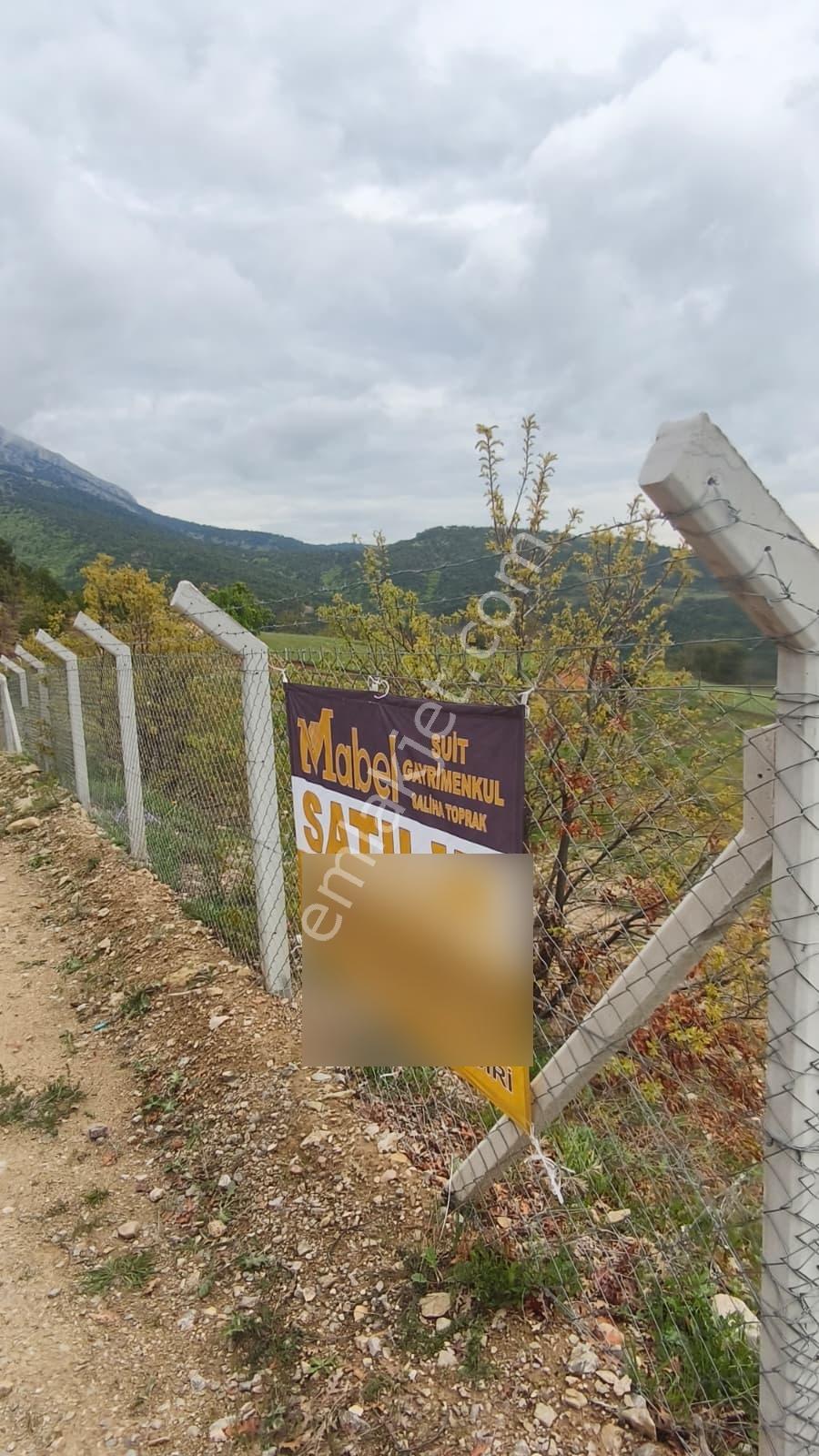 Mabelden Doğayla İç İçe Satılık Ceviz Bahçesi