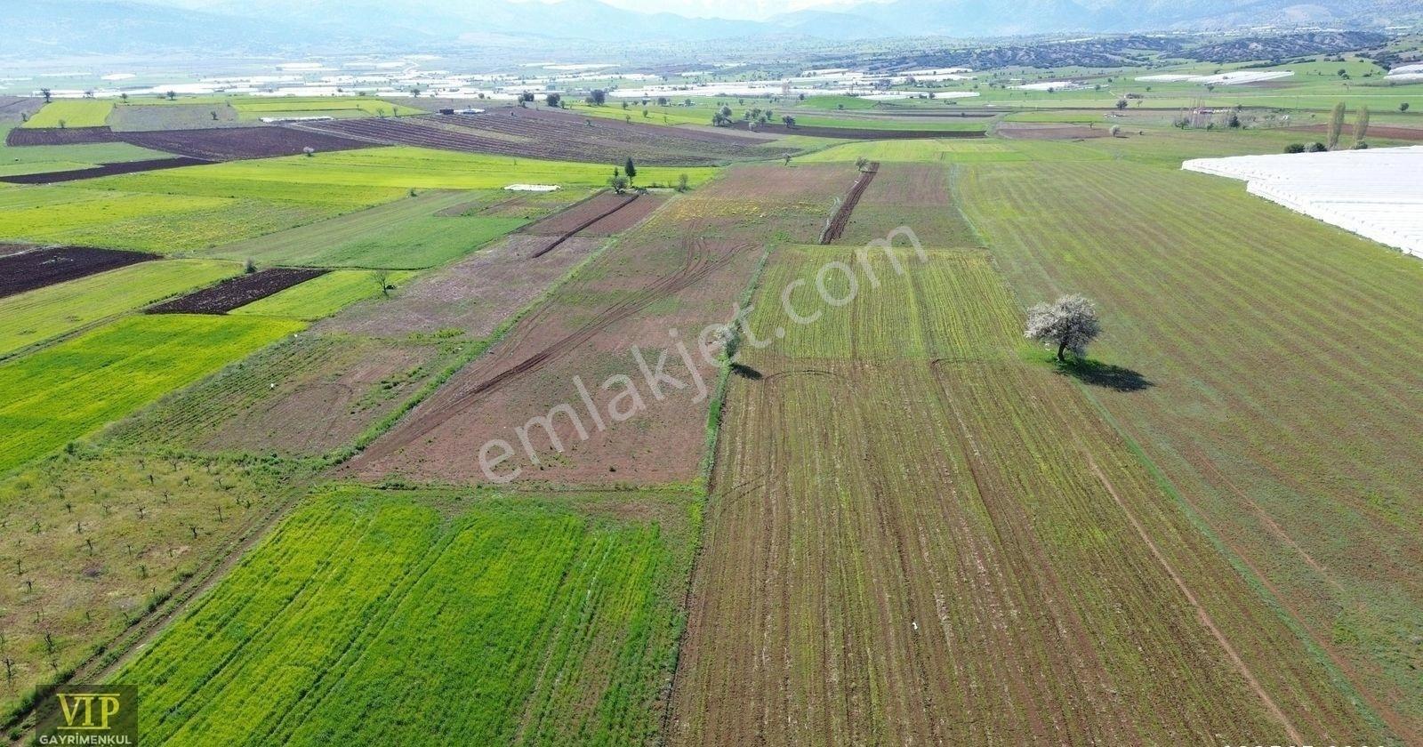 Vip Gayrimenkul'den Gökpınar Mah. 25.000m² Fırsat Tarla - Görsel 10