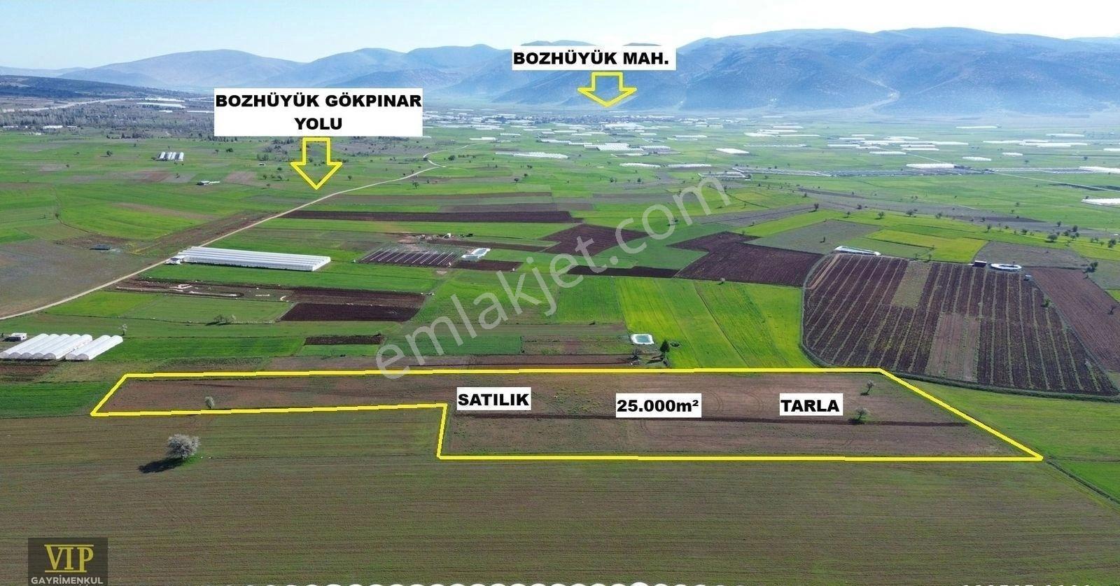 Vip Gayrimenkul'den Gökpınar Mah. 25.000m² Fırsat Tarla - Görsel 14