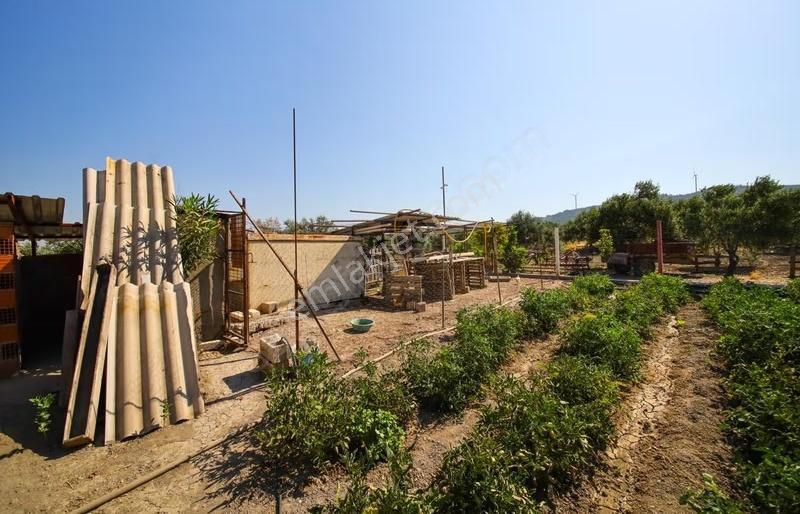 Yalçınlar Gayrimenkulden Yatırım Fırsatı - Görsel 9