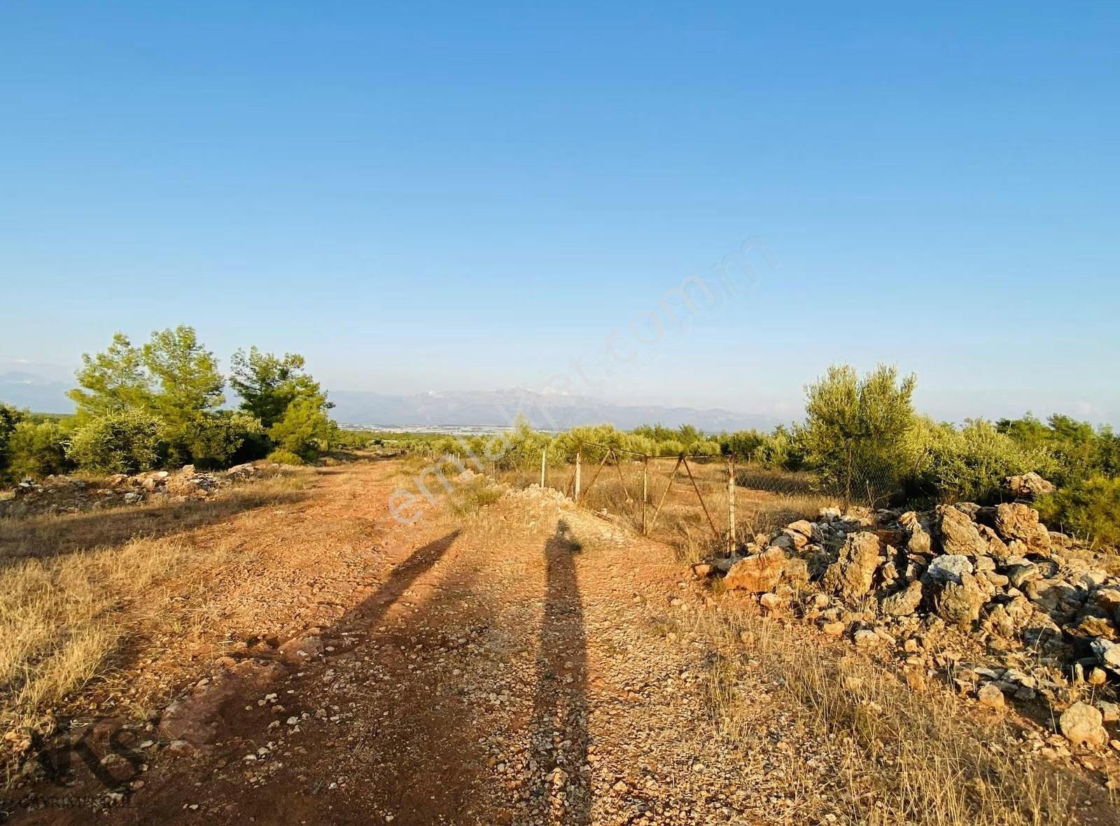 Aksu Topallı'da Köşe Başı 3 Tarafı Yol 388m2 İmarlı Villa Arsası