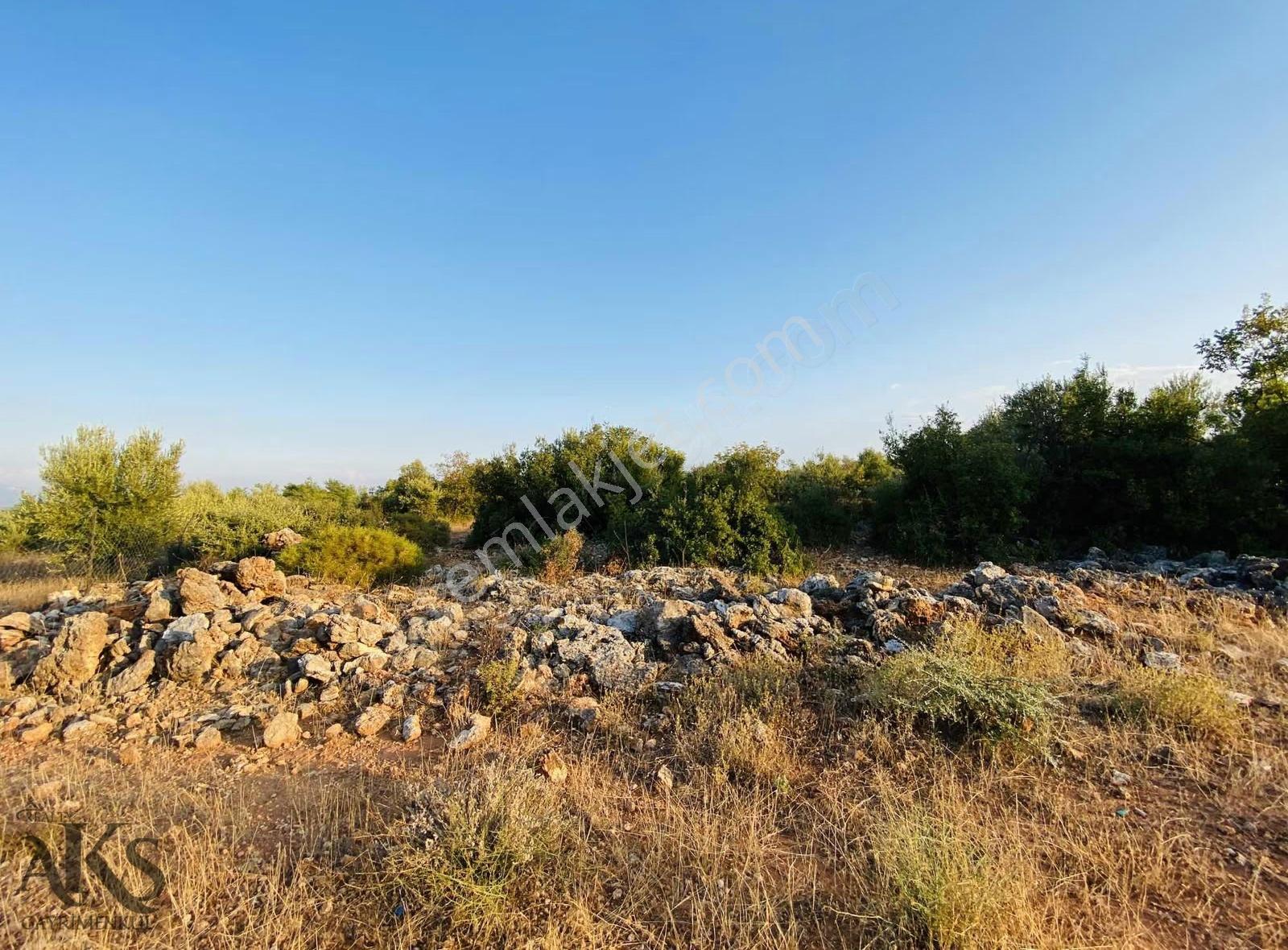 Aksu Topallı'da Köşe Başı 3 Tarafı Yol 388m2 İmarlı Villa Arsası - Görsel 2