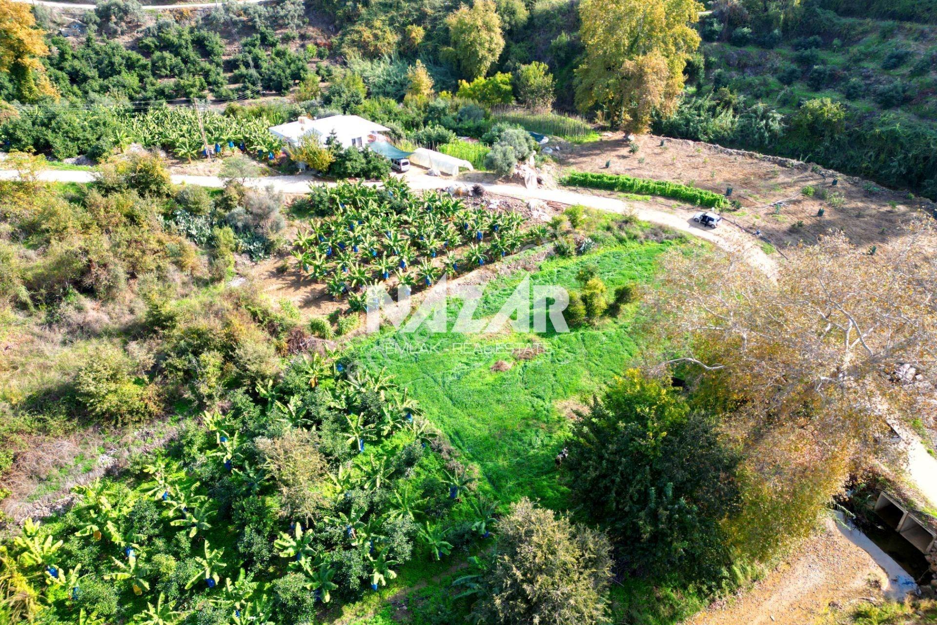 Alanya Kargıcak’ta Satılık 196 M² Hisseli İmarlı Arsa - Görsel 12