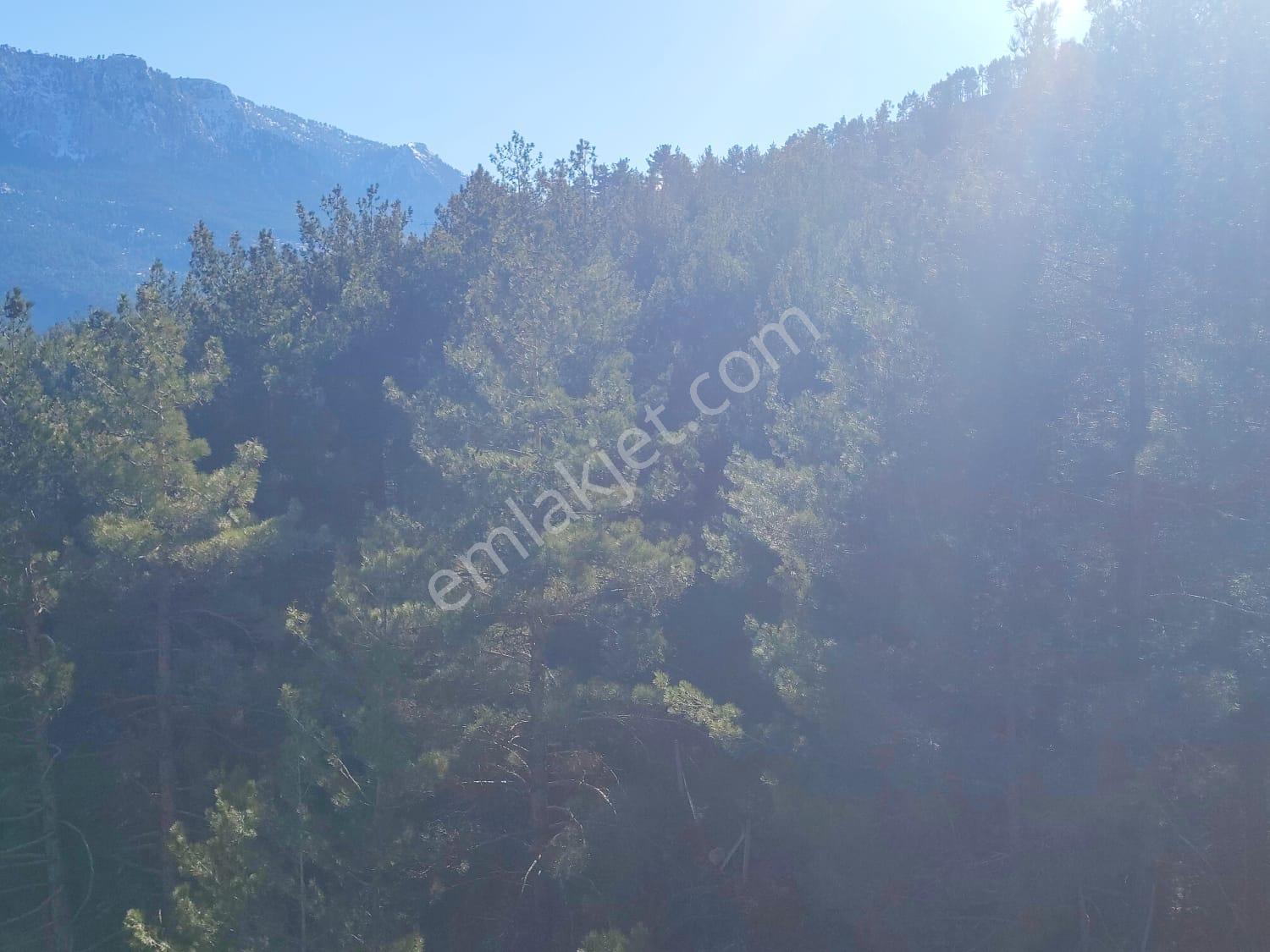 Kar Emlaktan Akçatekir Atatürkte 1419m2 Satılık Arsa - Görsel 3