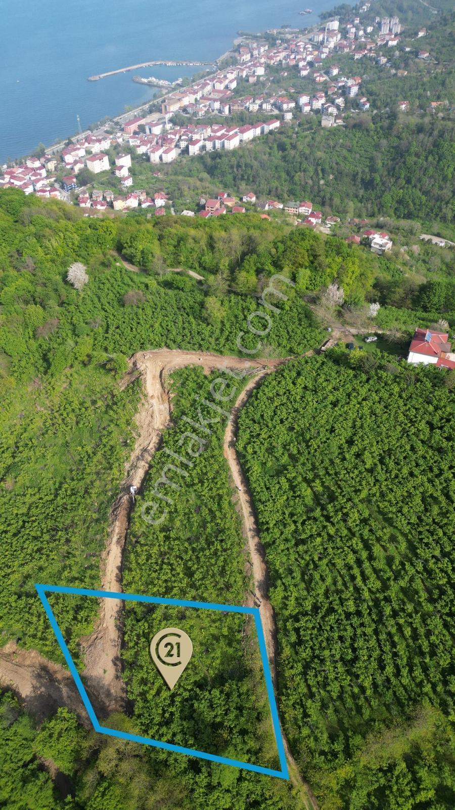 Century 21'den Perşembe Kordontepede Eşsiz Manzaralı Arsa! - Görsel 2
