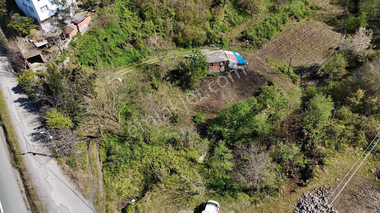 Akçaabat Sahil Yolunda Satılık 473 M2 Arsa - Görsel 9