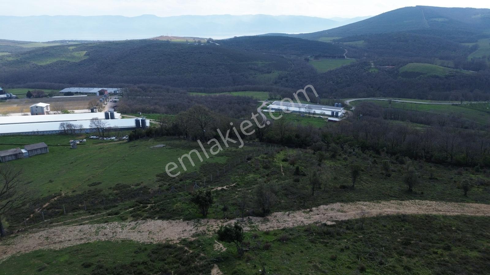 İznik Bayındır'da Satılık Arazi - Görsel 18