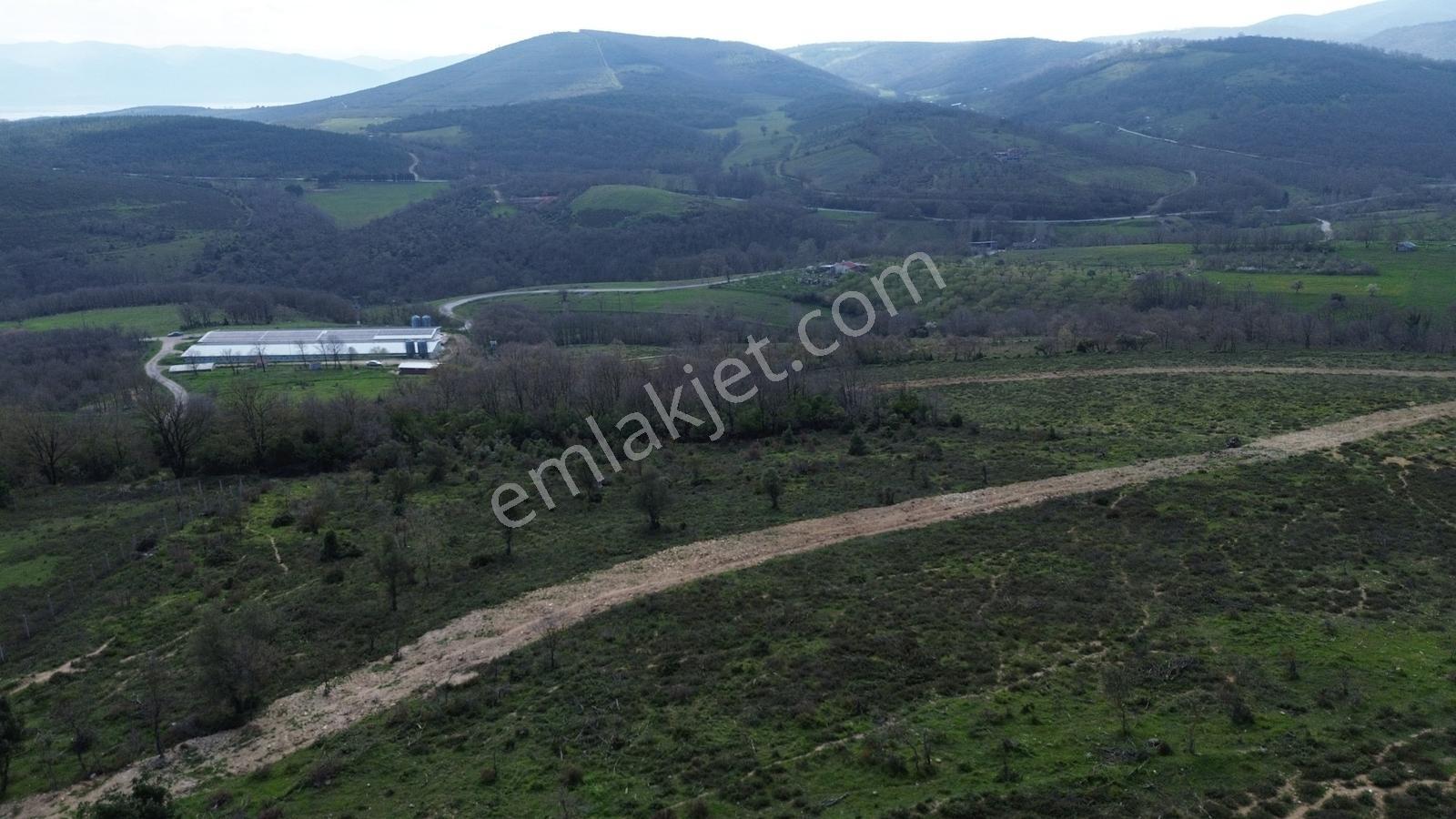 İznik Bayındır'da Satılık Arazi - Görsel 5