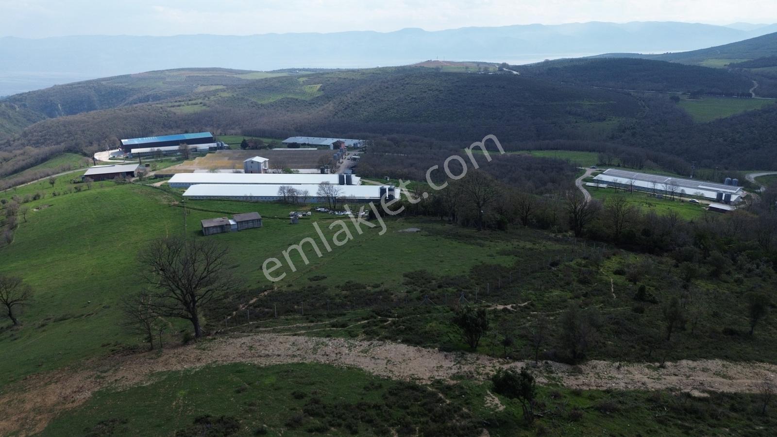 İznik Bayındır'da Satılık Arazi - Görsel 12