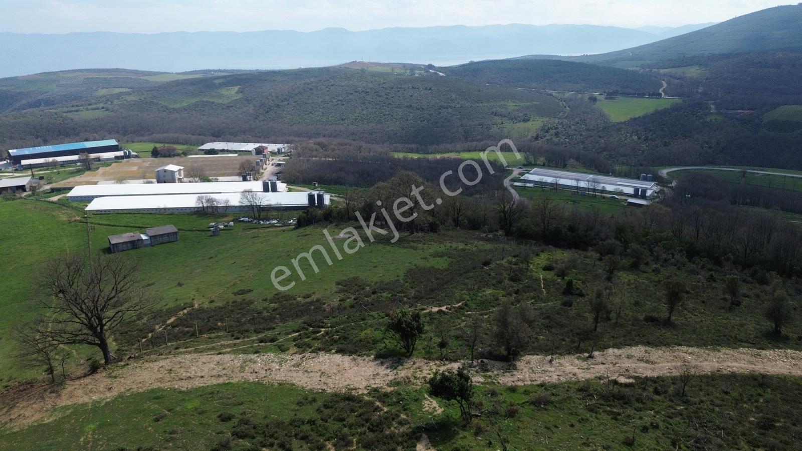 İznik Bayındır'da Satılık Arazi - Görsel 13