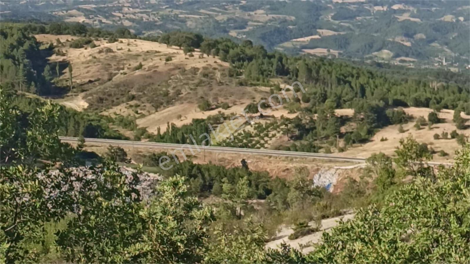 Kütahya Şaphanede 14505 M2 Kadastral Yolu Olan Yerlesıme Yakın - Görsel 16