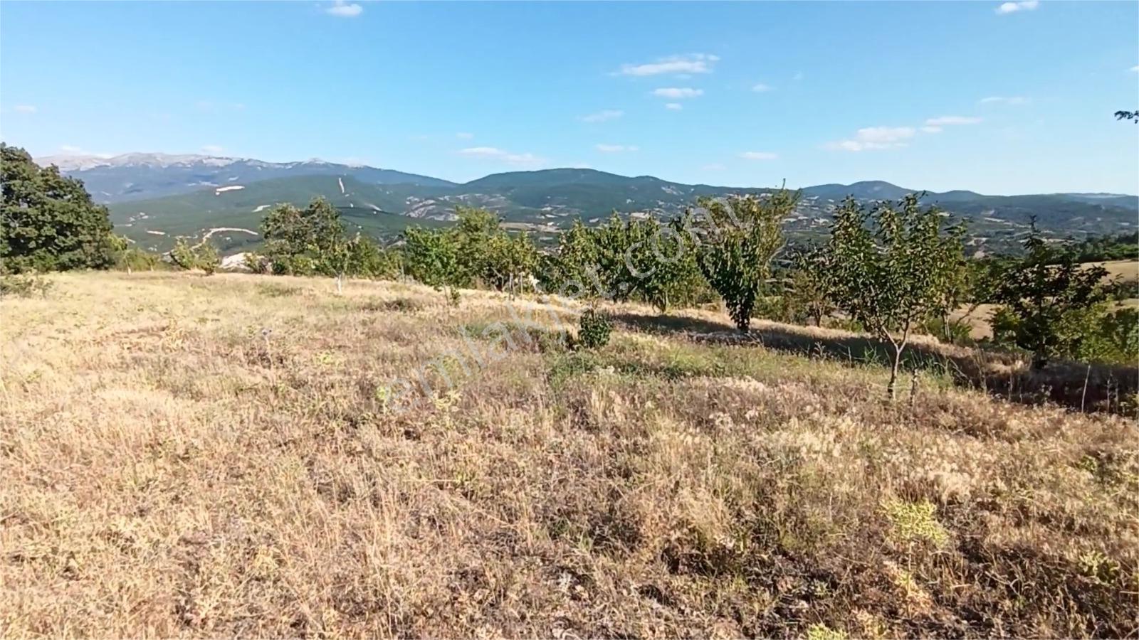 Kütahya Şaphanede 14505 M2 Kadastral Yolu Olan Yerlesıme Yakın - Görsel 8