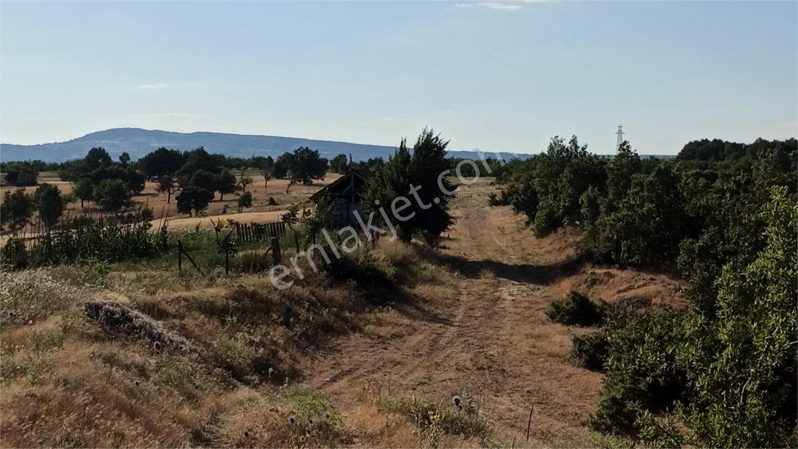 Kütahya Şaphanede 14505 M2 Kadastral Yolu Olan Yerlesıme Yakın - Görsel 18