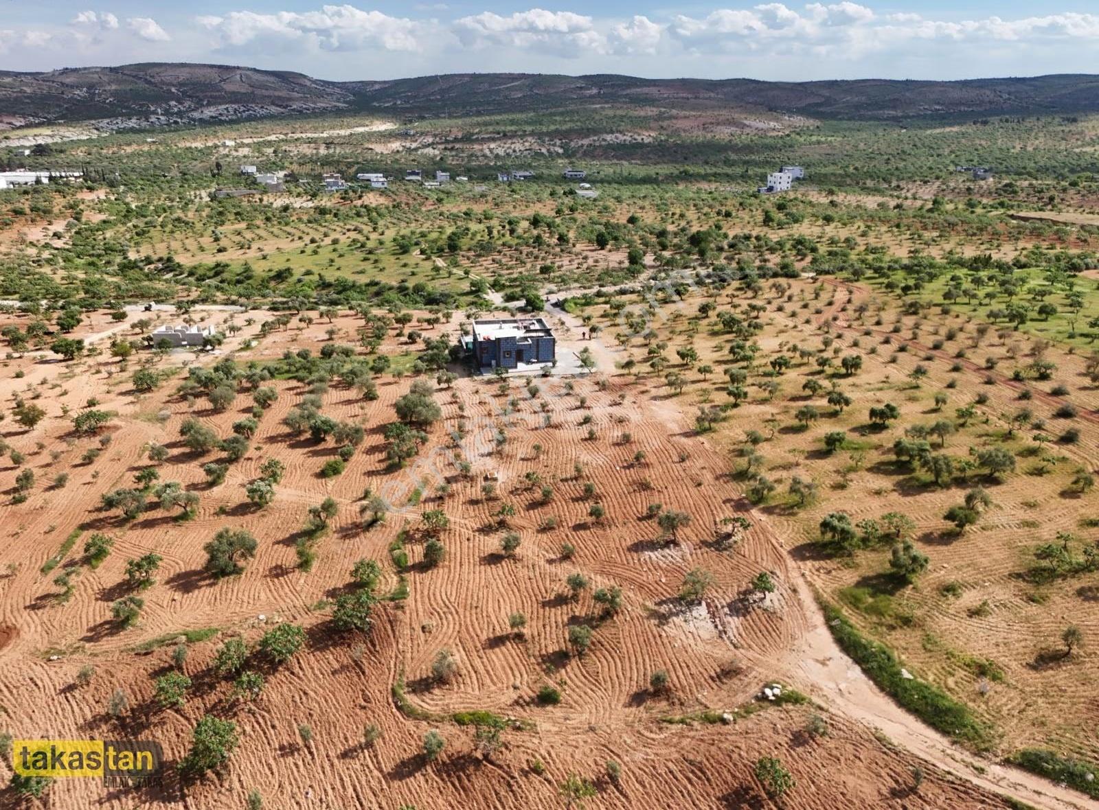 Tek Tapu 4400m² Bağ Evi: Yatırımlık & Yaşam Fırsatı - Görsel 13
