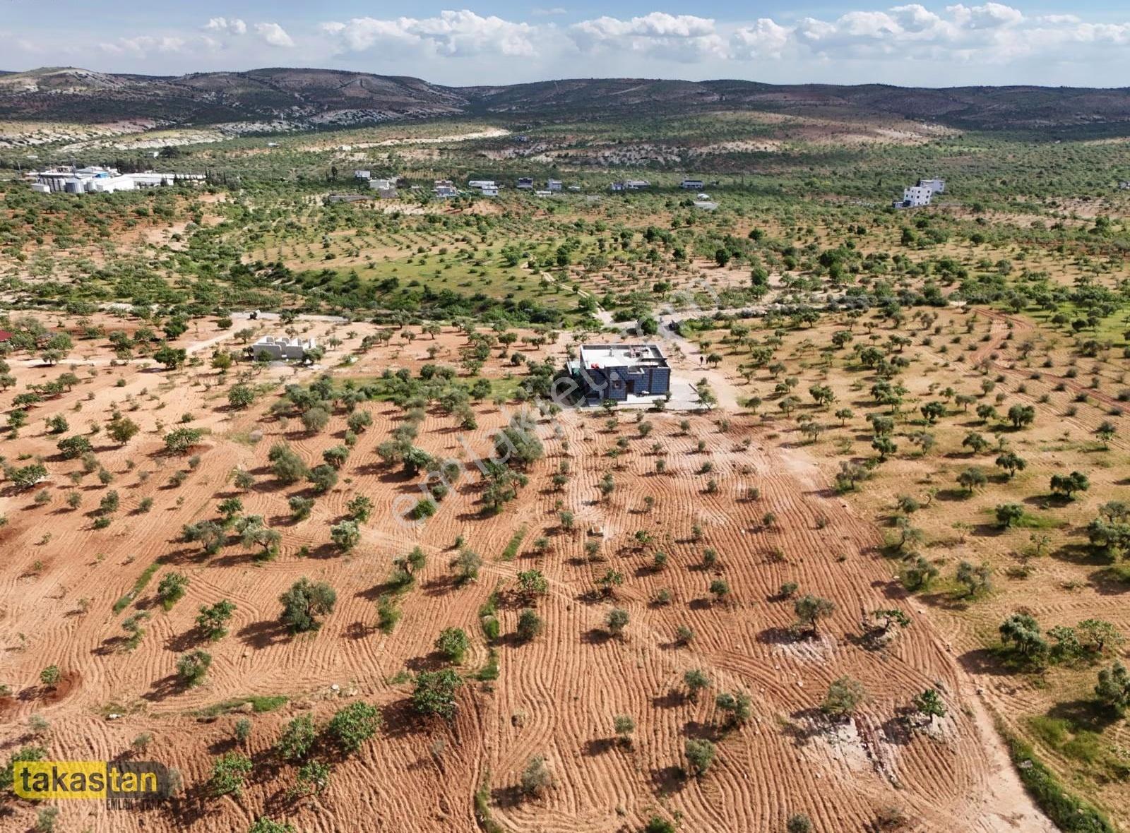 Tek Tapu 4400m² Bağ Evi: Yatırımlık & Yaşam Fırsatı - Görsel 16