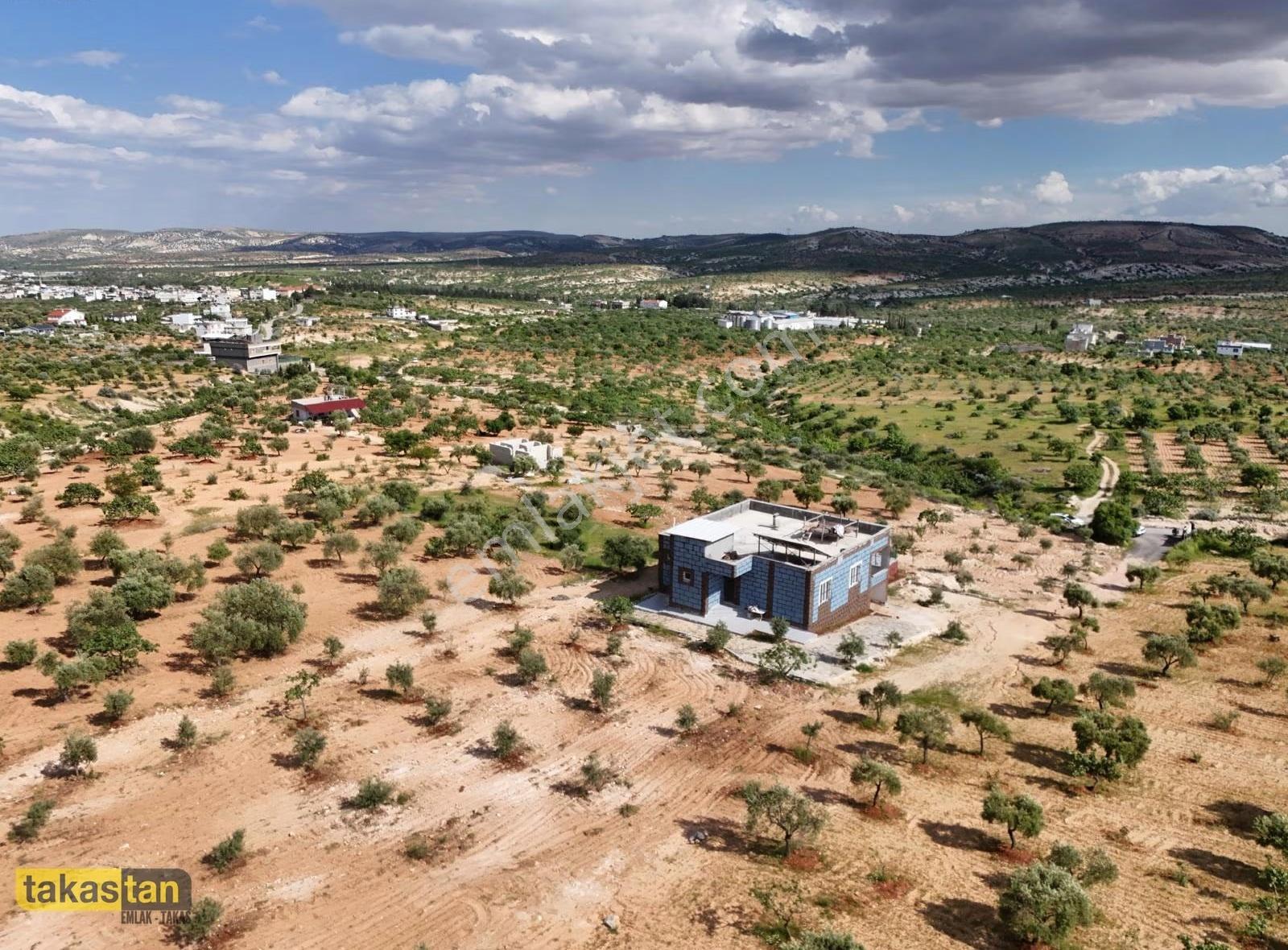 Tek Tapu 4400m² Bağ Evi: Yatırımlık & Yaşam Fırsatı - Görsel 8