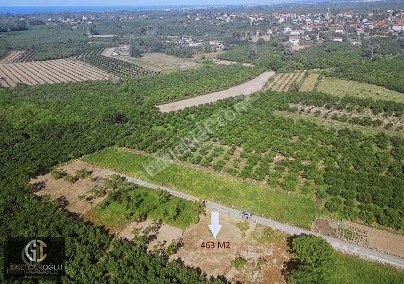 Fırsat 463m2arsa - Görsel 5