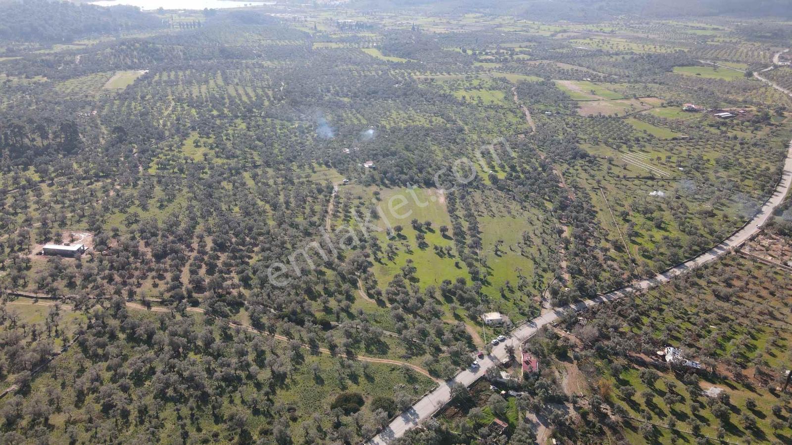 Kazıklıda Yatırımcılar İçin Kaçırılmayacak Arsa - Görsel 9