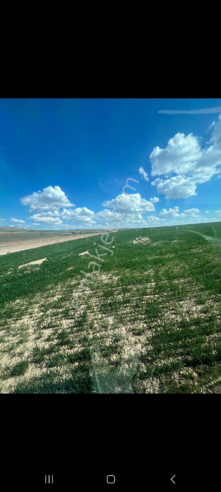 Eskişehir Alpu Koşmah Mah.acil Satılık 37.500 M.müstakil Tarla. - Görsel 4