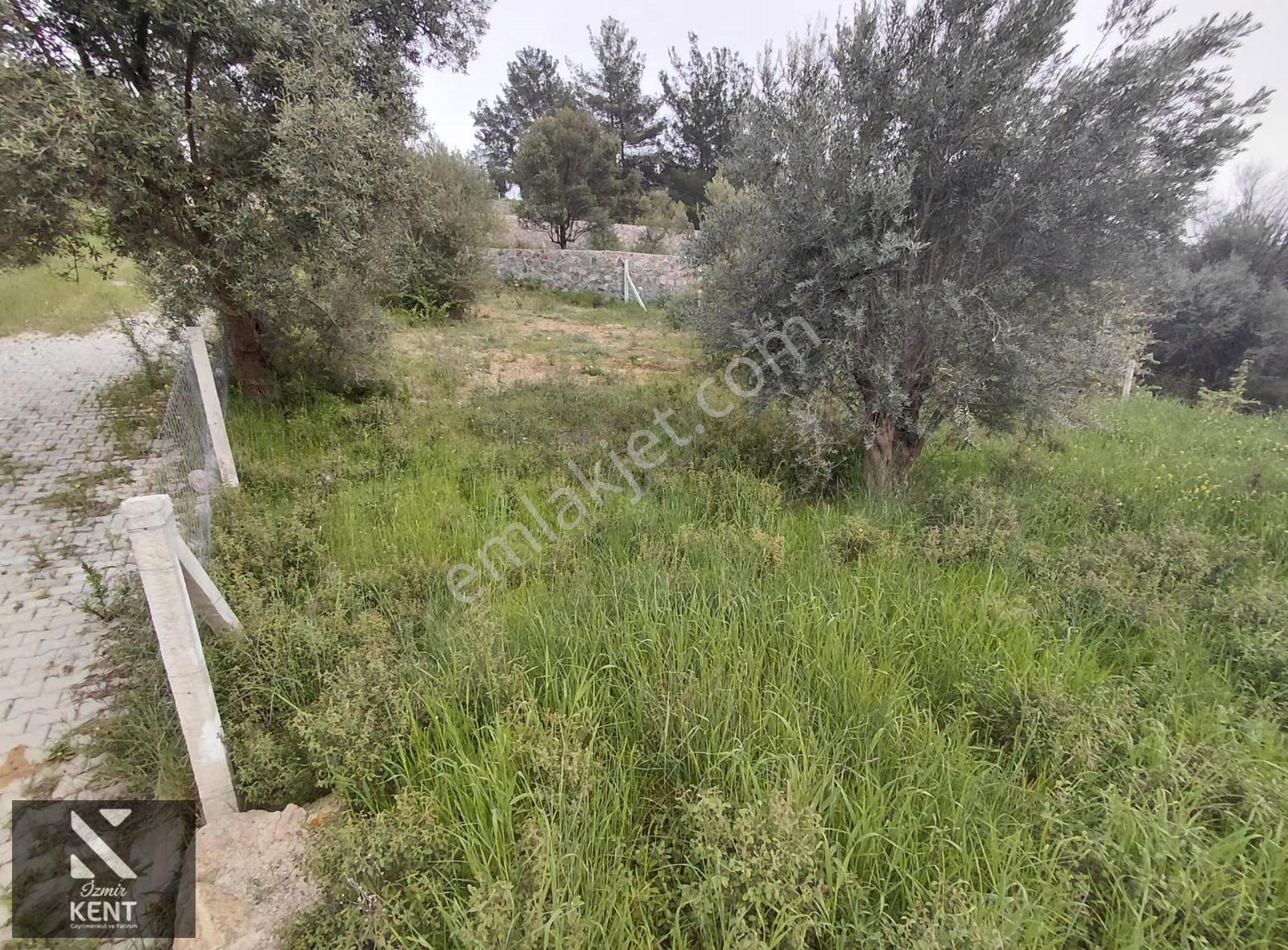 Kemalpaşa Yenmiş'de Satılık Bahçe 406 M2 - Görsel 17