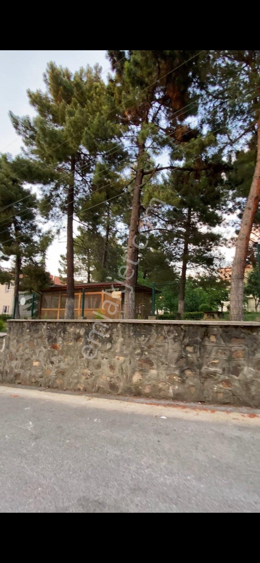 Çınarcık Harmanlar Mahallesinde Sahilde Kiralık Eşyalı 2+1 90 M2 Haziran Ayı Kiralık - Görsel 22