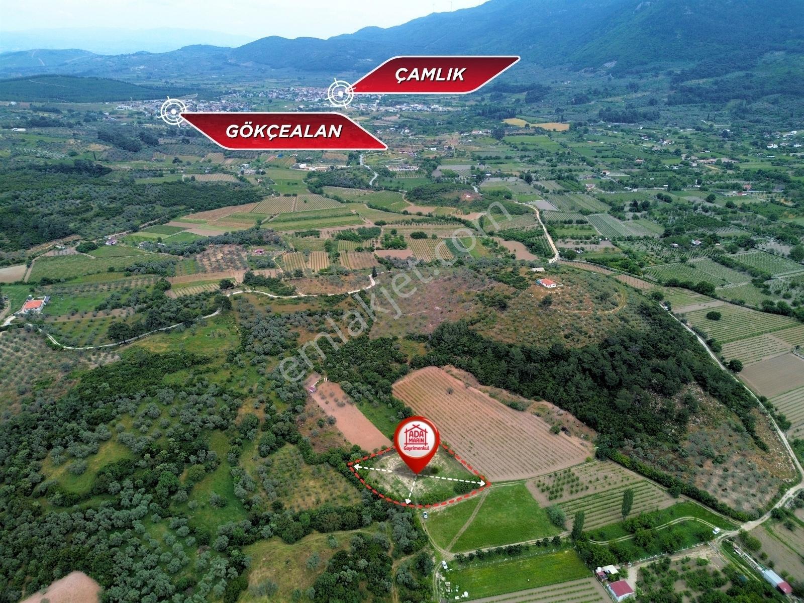 Kuşadası Kirazlı'da Kadastral Yola Cepheli741m2 Yatırımlık Tarla - Görsel 6