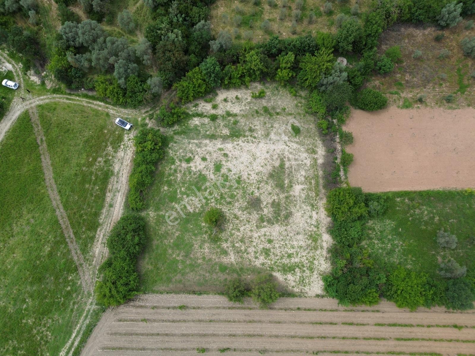 Kuşadası Kirazlı'da Kadastral Yola Cepheli741m2 Yatırımlık Tarla - Görsel 3