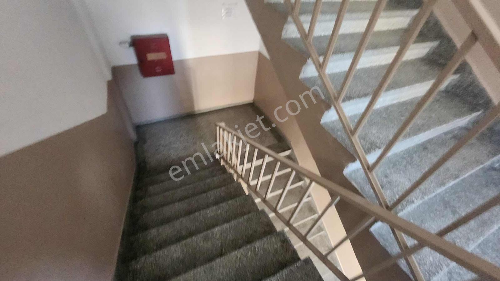 Enes Yeterden 400 M2 Kiralık İş Hani Katı - Görsel 8