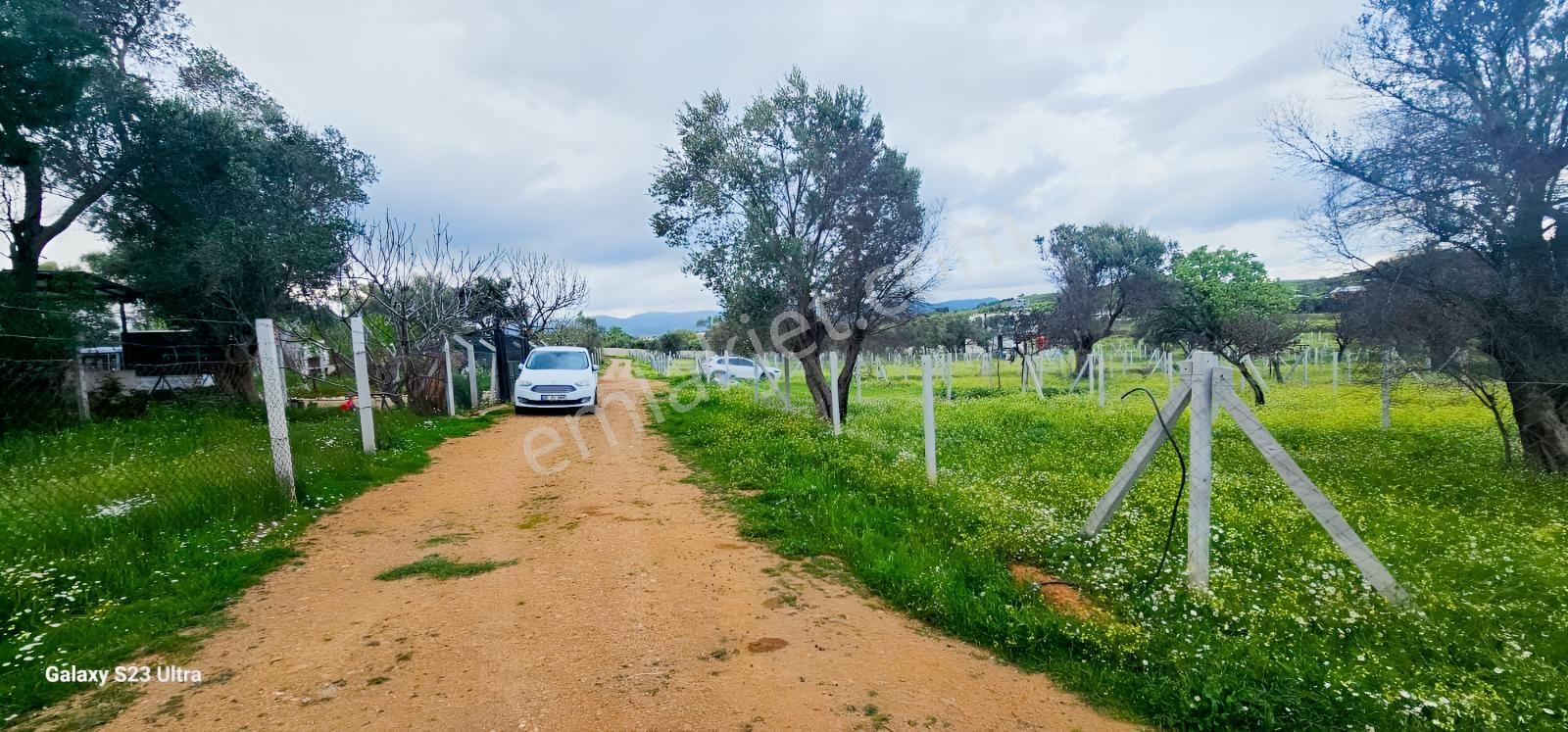 Emlak Durağı'ndan Dereköy'de 2835 M² Tarla - Görsel 16
