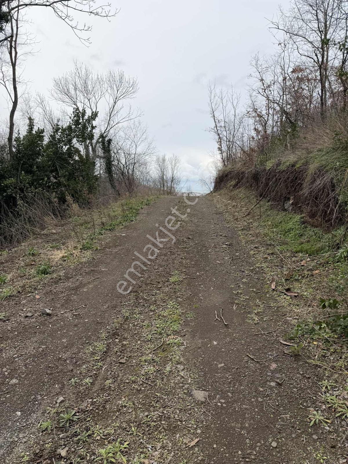 Dereköy Taşkelikte Deniz Manzaralı, İki Kat İmarlı Satılık Arsa - Görsel 28