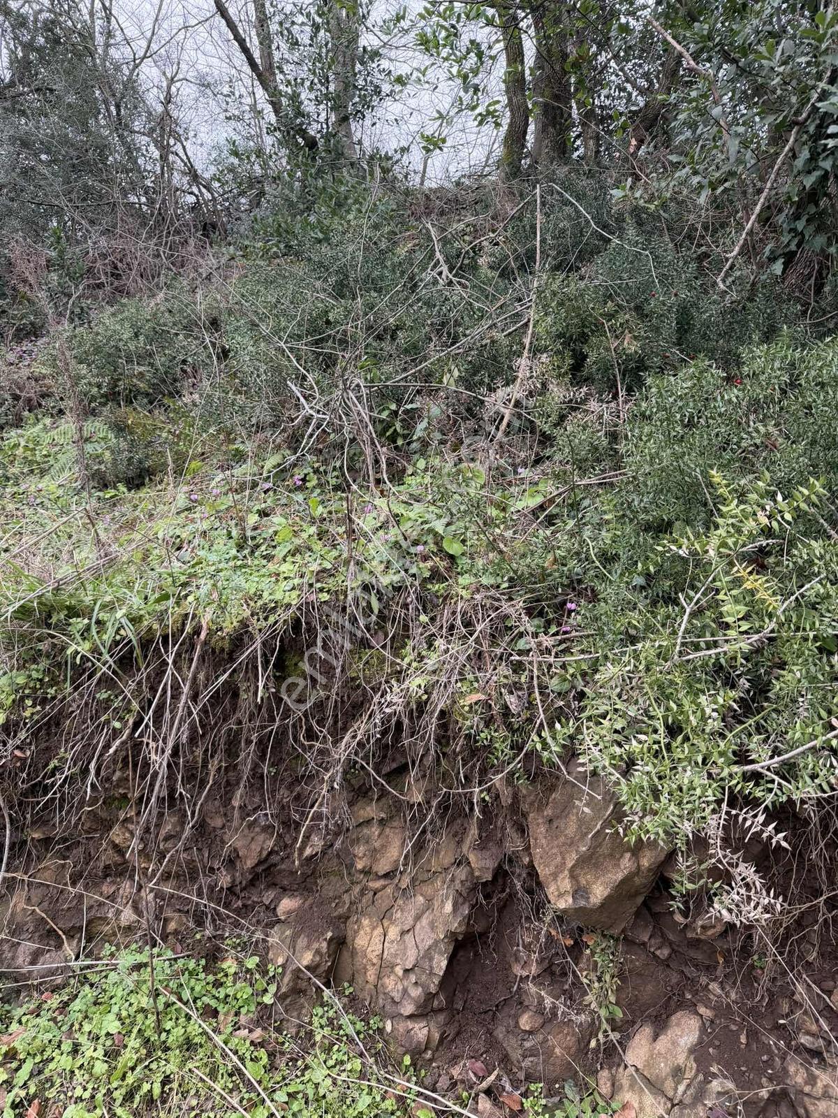 Dereköy Taşkelikte Deniz Manzaralı, İki Kat İmarlı Satılık Arsa - Görsel 27
