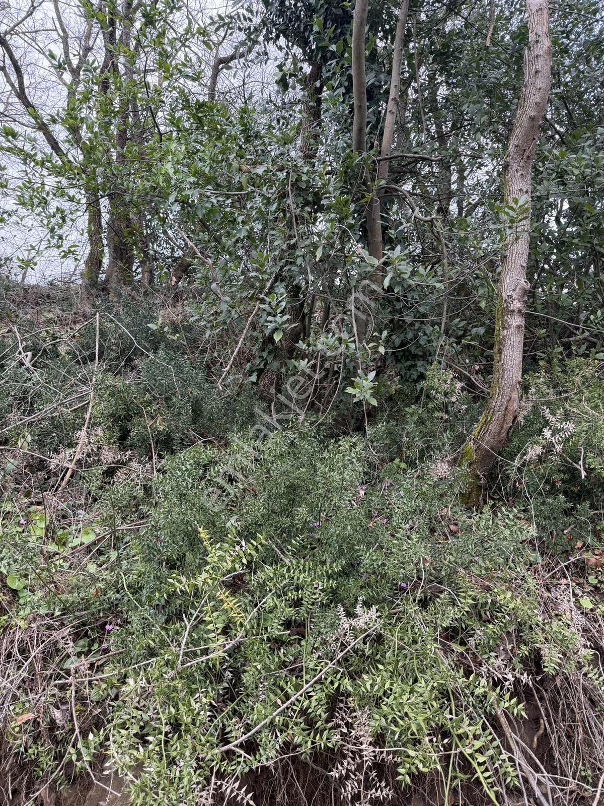 Dereköy Taşkelikte Deniz Manzaralı, İki Kat İmarlı Satılık Arsa - Görsel 26