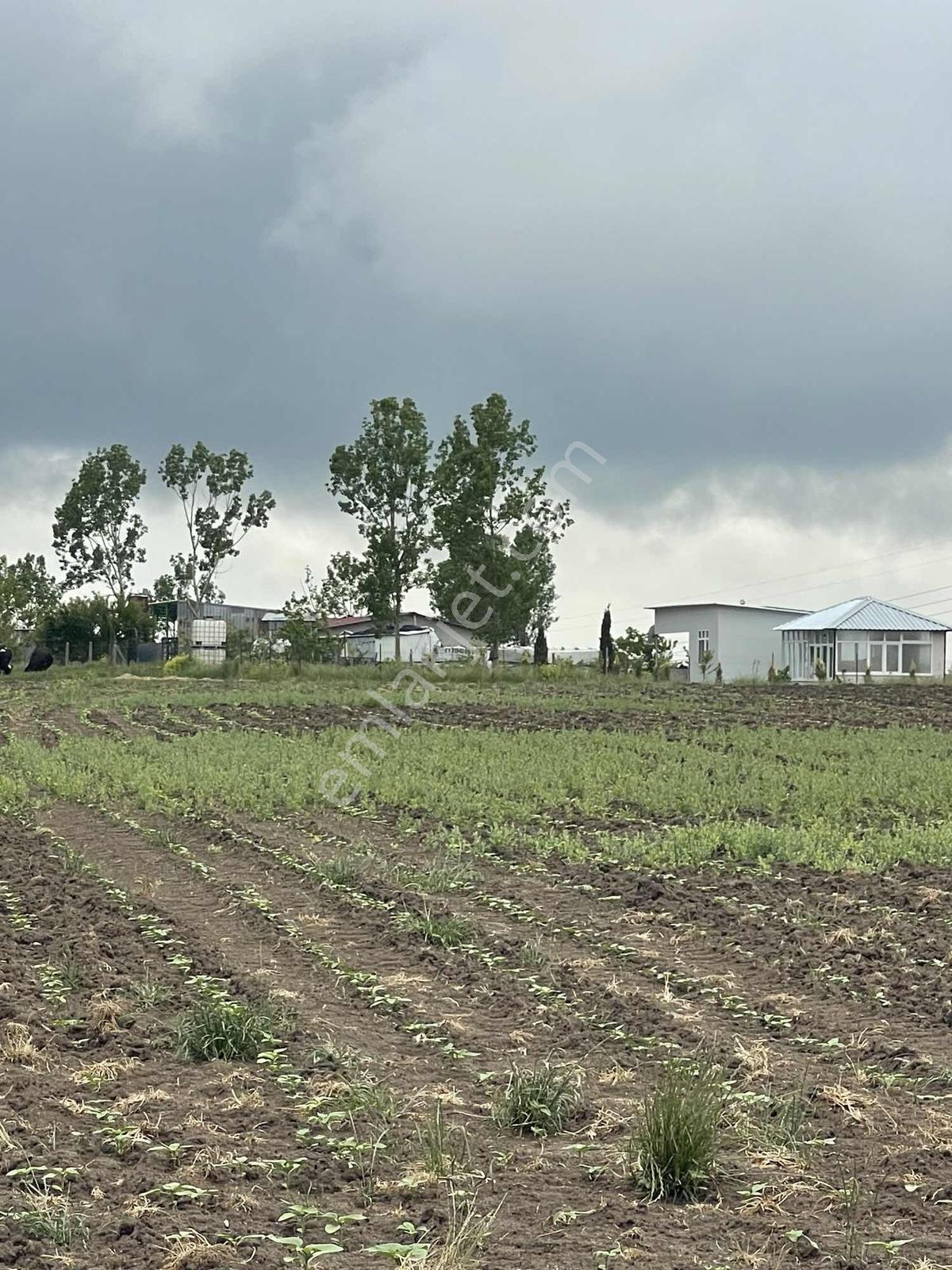 Delfa Yapı İnşaat Tan Kızılpınar Da 7.118m2 İmara Yakın