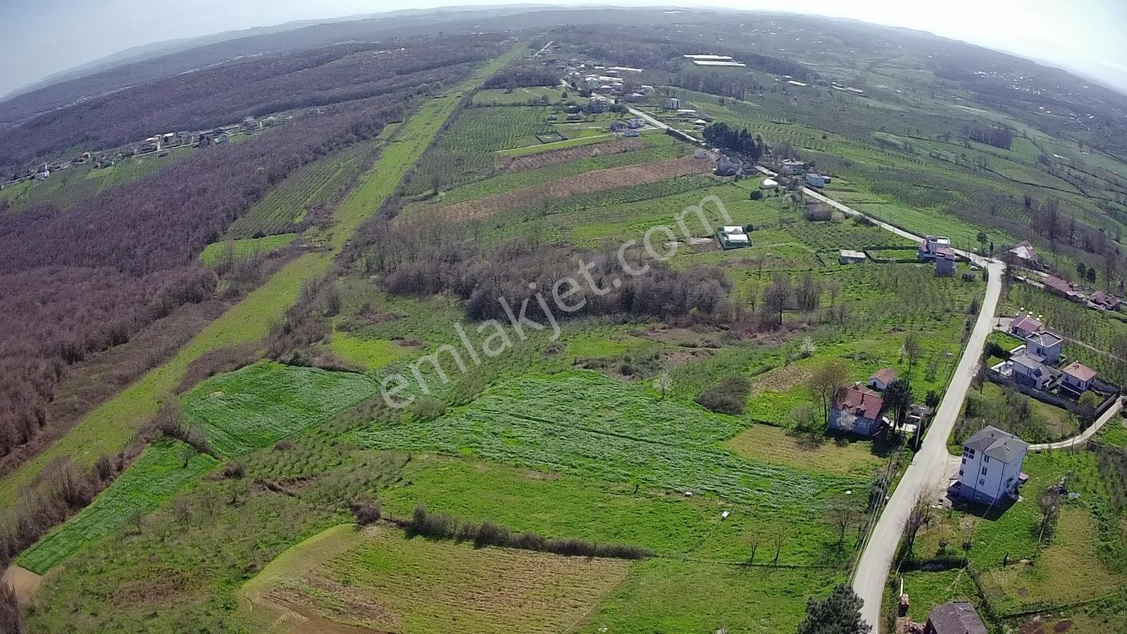 Kaynarca Arifağa'da 590 M2 İmarlı Satılık Arsa - Görsel 10