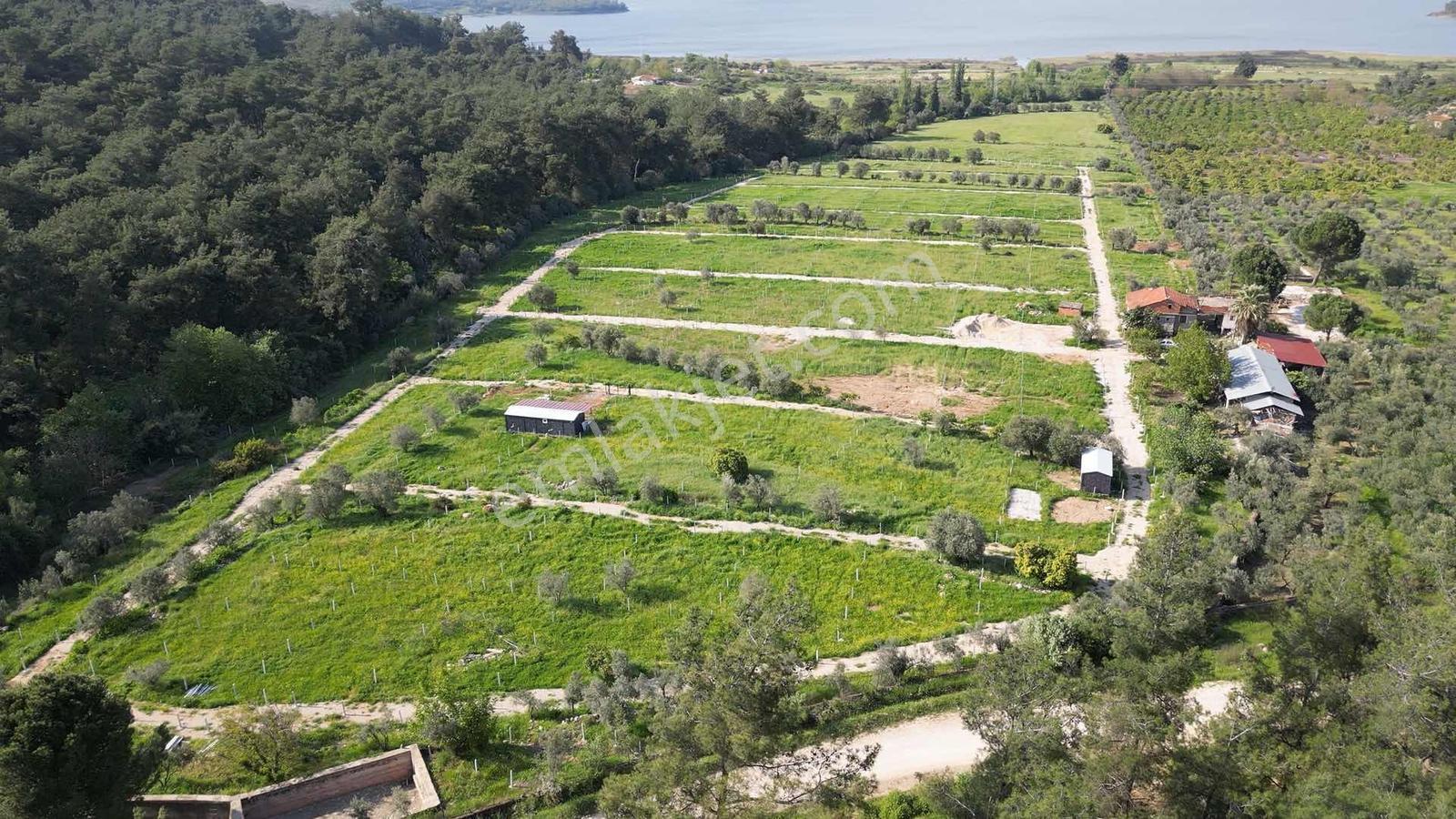 Bal Gayrimenkul Farkı İle Değirmenderede Satılık 220 M2 Bahçe