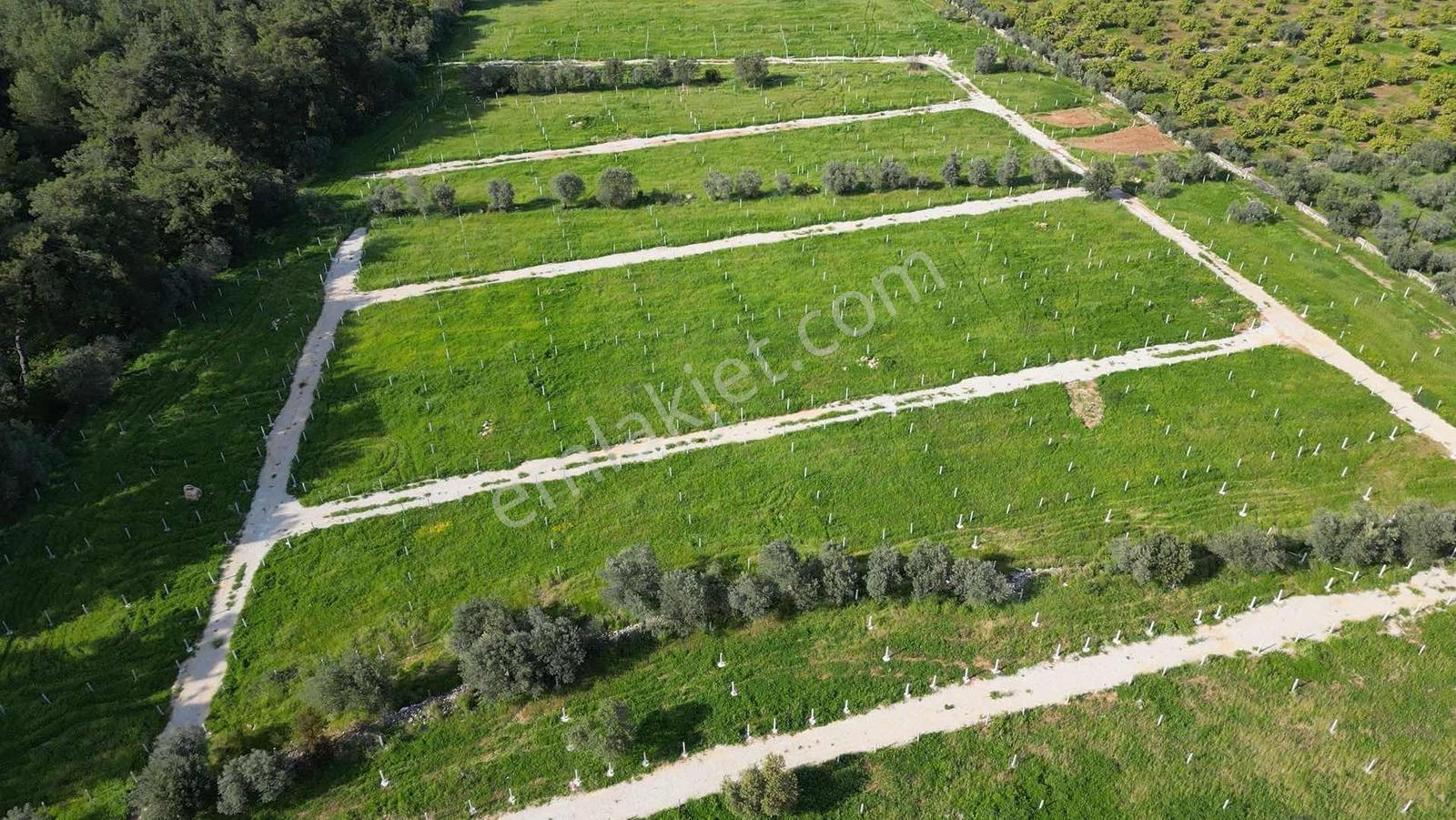 Bal Gayrimenkul Farkı İle Değirmenderede Satılık 220 M2 Bahçe - Görsel 13