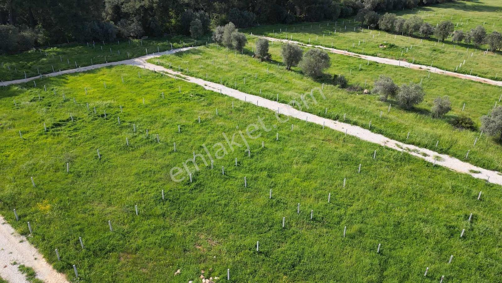 Bal Gayrimenkul Farkı İle Değirmenderede Satılık 220 M2 Bahçe - Görsel 17