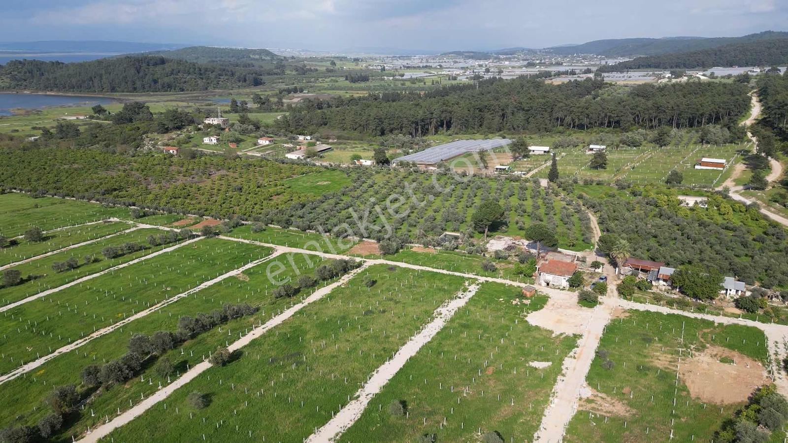 Bal Gayrimenkul Farkı İle Değirmenderede Satılık 220 M2 Bahçe - Görsel 4