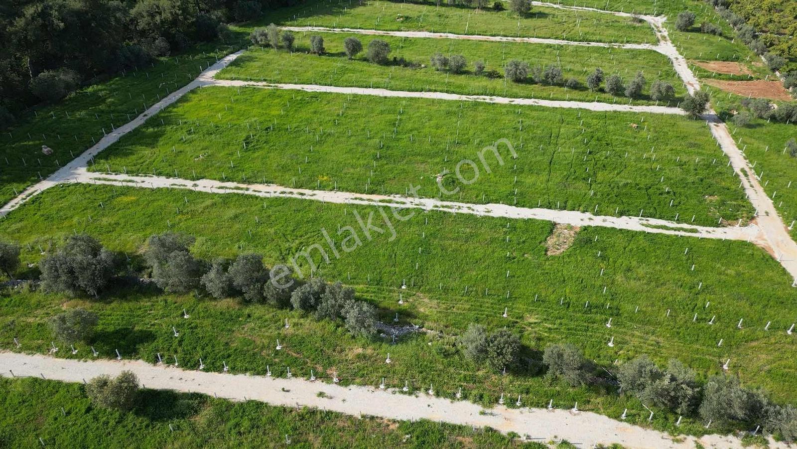 Bal Gayrimenkul Farkı İle Değirmenderede Satılık 220 M2 Bahçe - Görsel 12