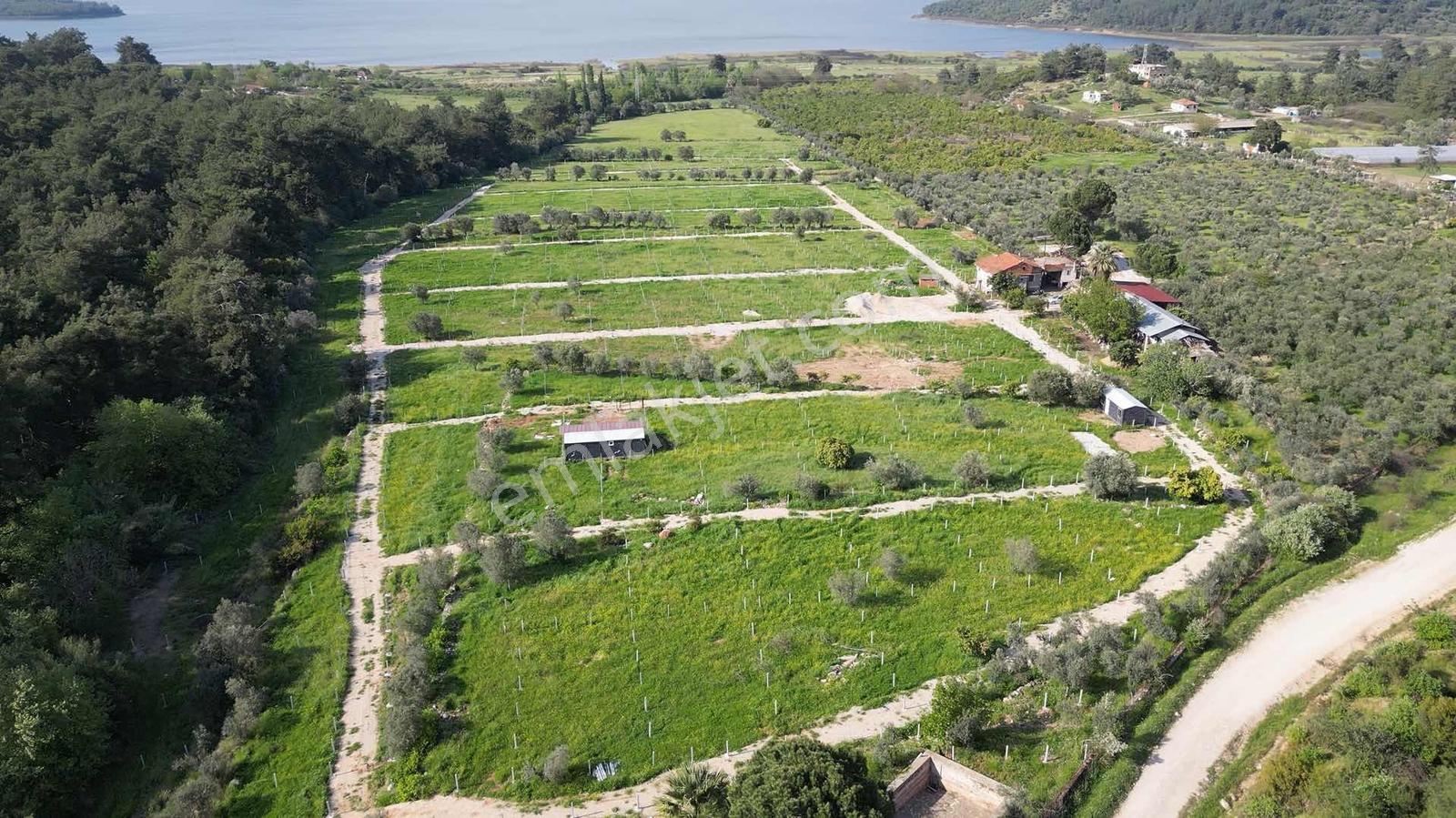 Bal Gayrimenkul Farkı İle Değirmenderede Satılık 220 M2 Bahçe - Görsel 9