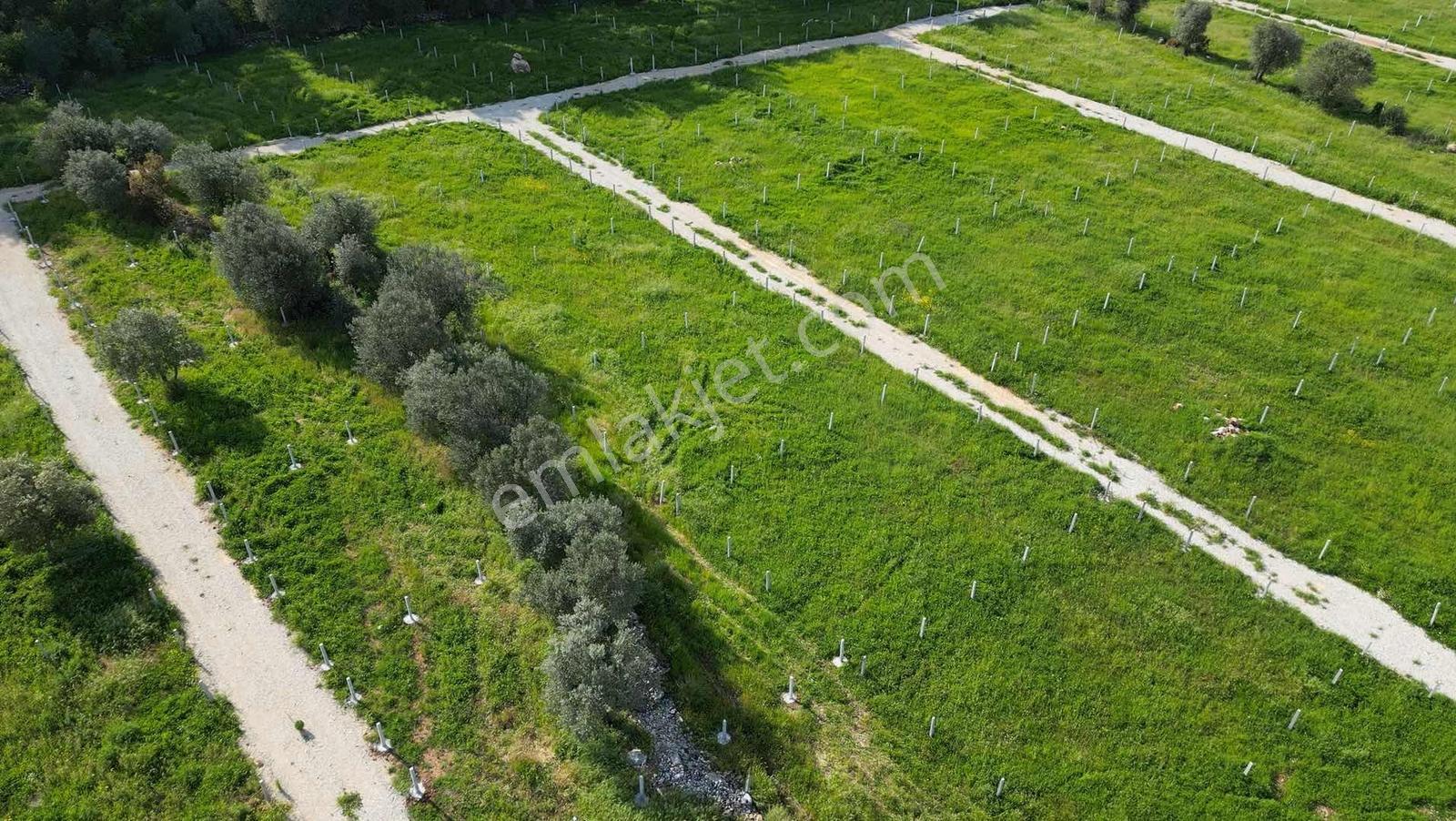 Bal Gayrimenkul Farkı İle Değirmenderede Satılık 220 M2 Bahçe - Görsel 11