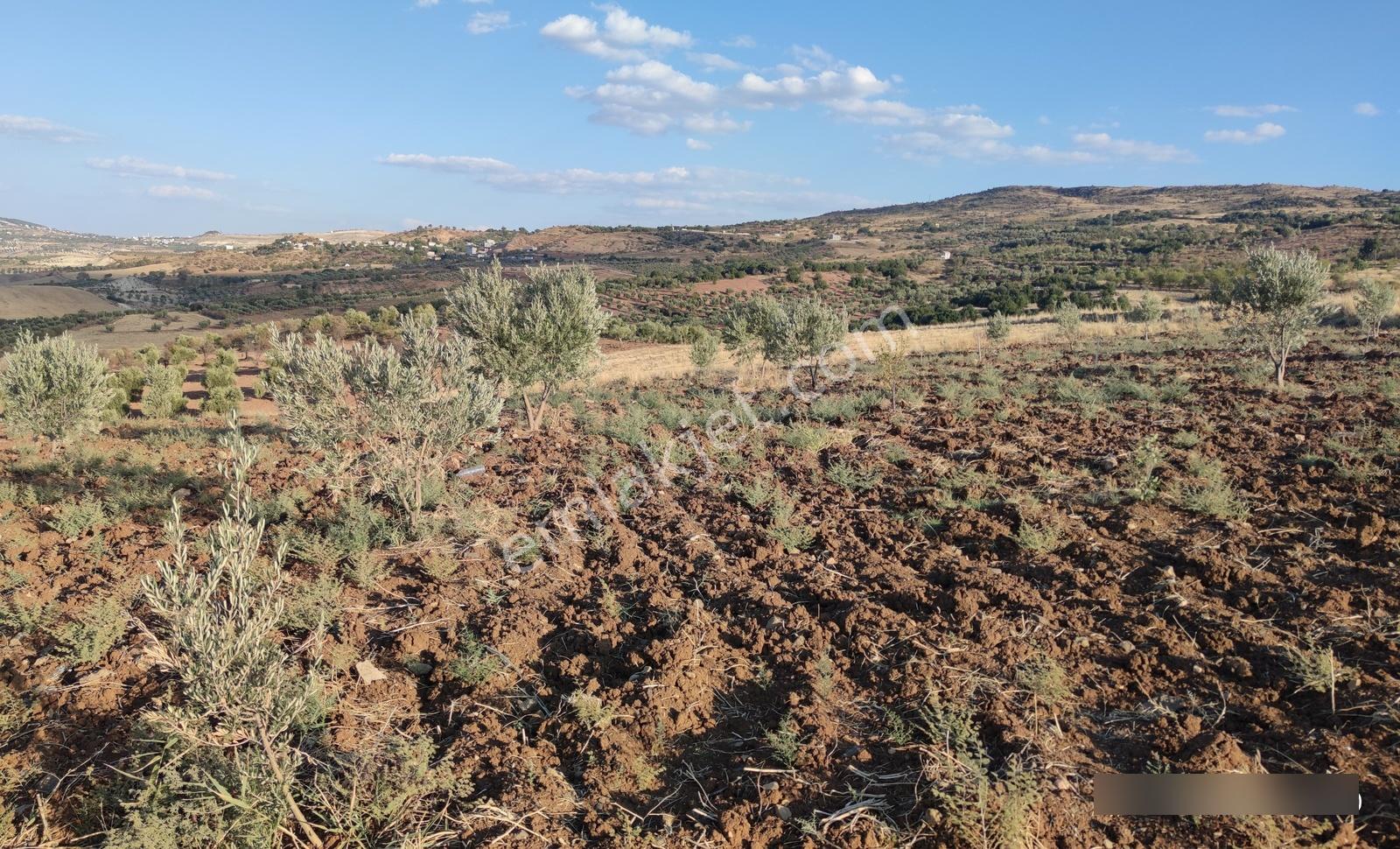 Aktif Gayrimenkul'den Acil Satılık Yatırımlık Arazi... - Görsel 3