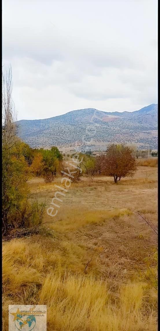 Burdur Yeşilova Dereköyde Yatırımlık Ve Kullanıma Hazır - Görsel 2