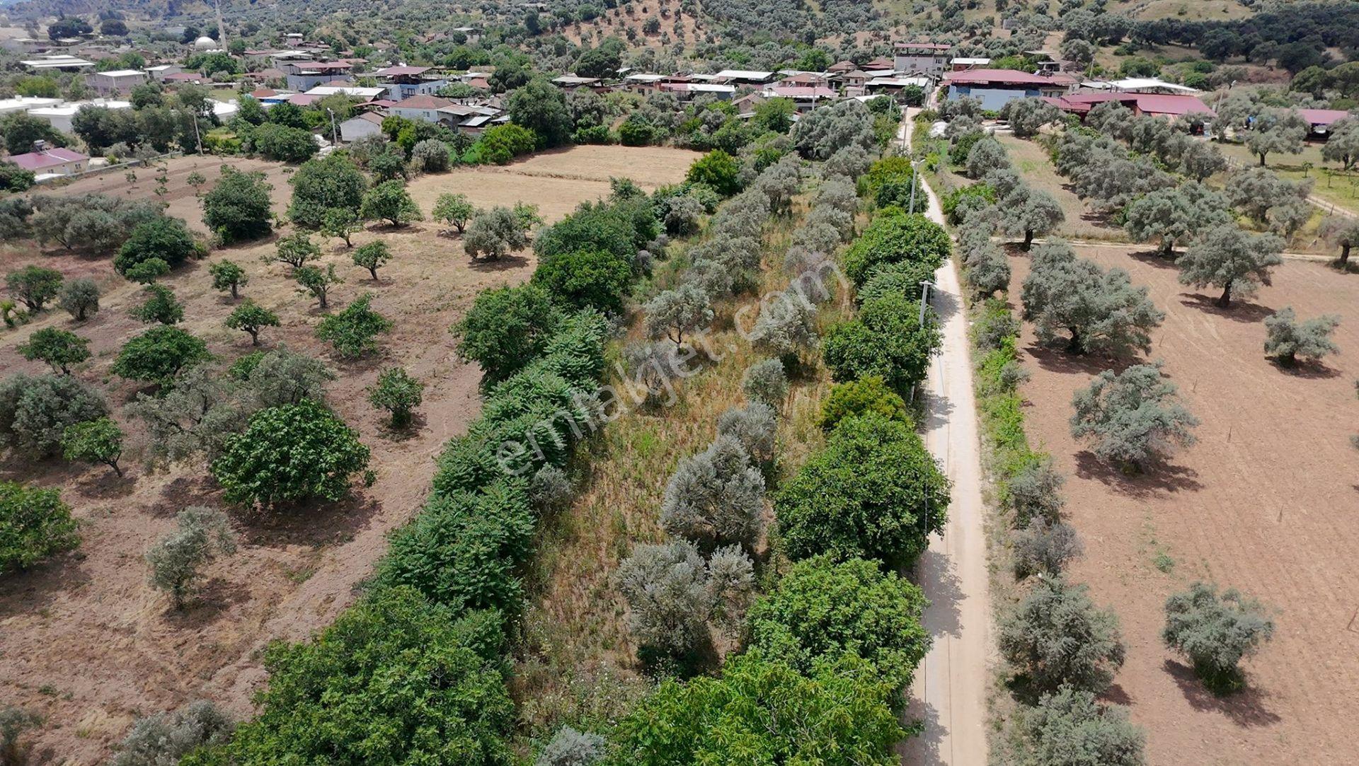 Nazilli – Sailer Mahallesi’nde Satılık Villalık Tarla 🌿🏡 📣kat Karşılığı Verilecektir - Görsel 2